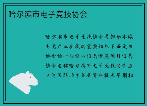 哈尔滨市电子竞技协会